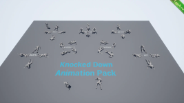 Knocked Down Animation Pack.png