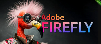 adobe fireefly.png