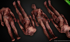 Human Remains Bones and Organs (Rigged).png