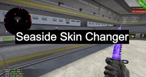 Seaside Skin Changer для CSGO (Много настроек) Бесплатный.jpg