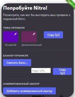 Используем функции Discord Nitro бесплатно15.jpg