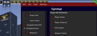 Чит Cynosys для Counter-Strike 2 (External).jpg