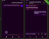 Anonymous Messenger – одноранговый мессенджер, работающий через tor..jpg