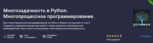 [Шибаев Александр] [Stepik] Многозадачность в Python. Многопроцессное программирование (2024).png