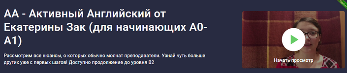 [Stepik] АА - Активный Английский от Екатерины Зак (для начинающих А0-А1) (2024).png