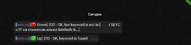 Бесплатный мониторинг сайтов и SSL сертификатов с уведомлениями в Telegram (4).jpeg