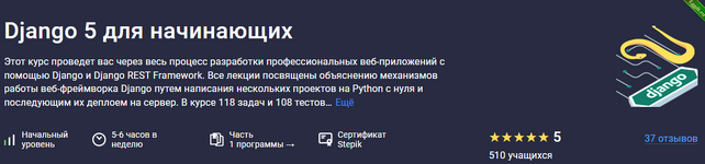 [Илья Перминов] [Stepik] Django 5 для начинающих + Продвинутый Django 5 для продолжающих (2023).png