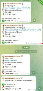 Софт Телеграм бот с сигналами по сайту Nowgoal на футбол.jpg