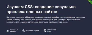 [Stepik] Изучаем CSS - cоздание визуально привлекательных сайтов (2024).png