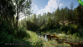 PCG Biome Forest Poplar (Interactive Foliage, Trees, Wind System, Nature).png