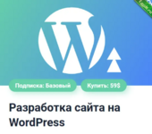 [Александр Сокирка] Разработка сайта на WordPress (2024).png