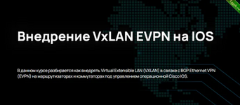 [n4e.ru] Внедрение VxLAN EVPN на IOS (2024).png