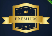 для Premium Роль GGDT-VIP.png