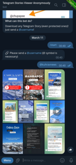 Скрипт Телеграм Бот для просмотра историй в Telegram2.png