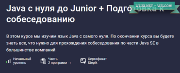 [Андрей Сумин] [Stepik] Java с нуля до Junior + Подготовка к собеседованию (2024).png