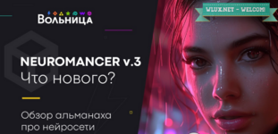 [Андрей Шкиль] Neuromancer v.3. 2024 [Вольница] (2024).png