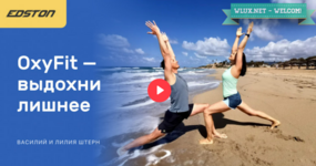 [Василий Штерн, Лиля Штерн] OxyFit — выдохни лишнее (2024).png