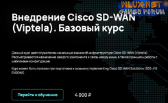 [NFE] Внедрение Cisco SD-WAN (Viptela) . Базовый курс (2024).png