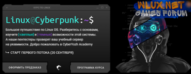 [Евгений Ивченков, Алексей Гришин] [CyberYozh] Linux Cyberpunk. Тариф Black (2024).png