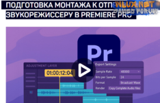[Дмитрий Ларионов] [liveclasses] Подготовка монтажа к отправке звукорежиссеру в Premiere Pro (2025).png