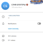 блогерши.png блогерши.png
