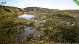 MW Meadow Wetlands Landscape.jpg