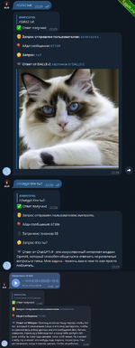 Telegram Bot с реализацией всех моделей OpenAI.png