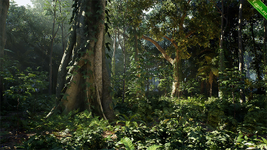 Rain Forest Pack – Unreal Engine 5.png