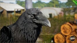 Animalia - Raven.jpg