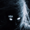 org.visa